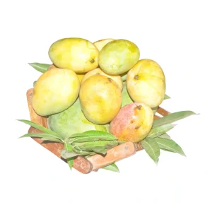 family-feast-combo-mangoes-vivekanandaargofoods
