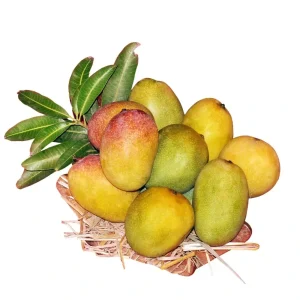 Andhra Special Combo