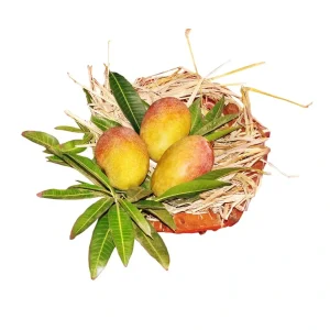 Fresh Suvarna Rekha Mango