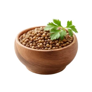 Coriander Seeds/Dhaniyalu