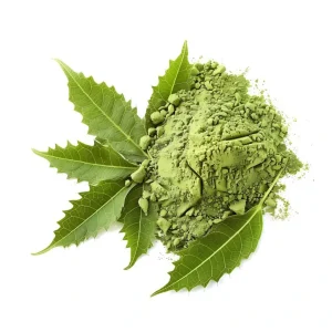 Neem Leaves Powder 100Gms