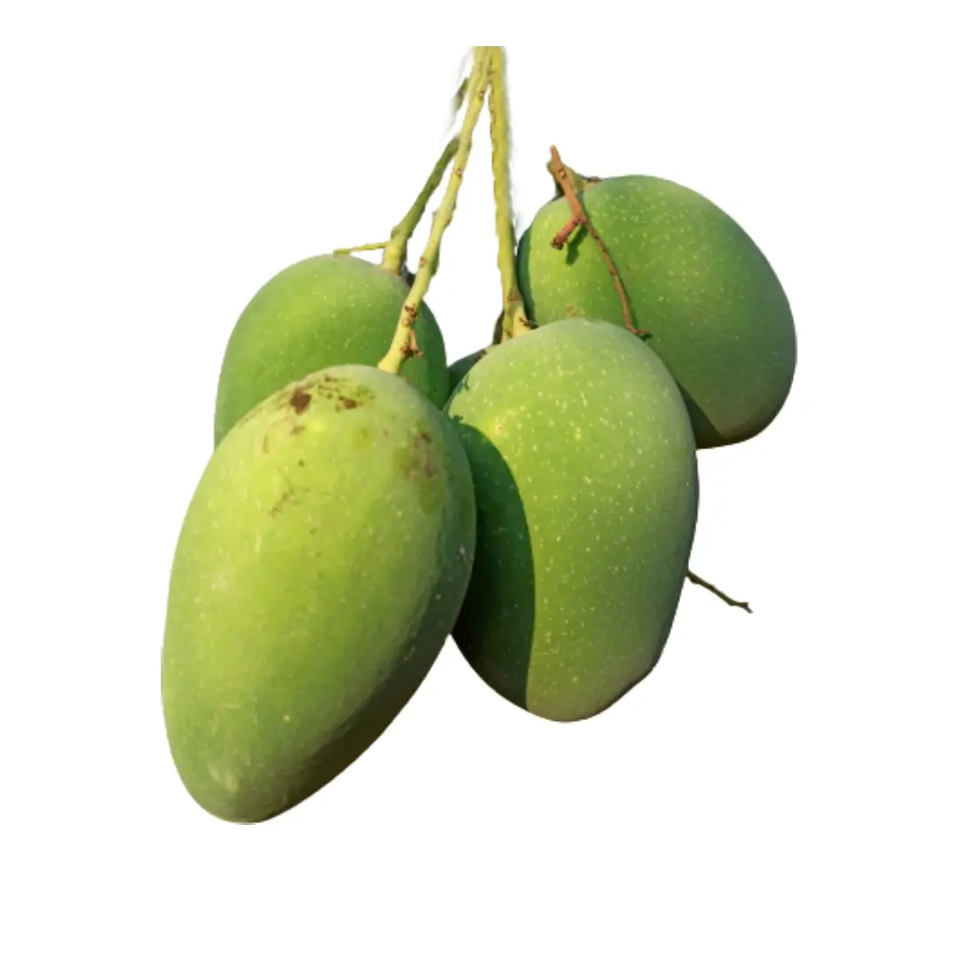 Pickle Mango Raw Kothapalli Kobbari